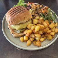   at Funky Jungle in Mechelen