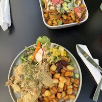   at Funky Jungle in Mechelen