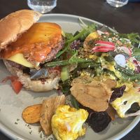   at Funky Jungle in Mechelen