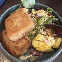   at Funky Jungle in Mechelen