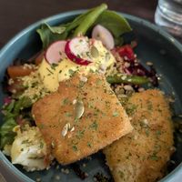 Cheese croquettes at Funky Jungle in Mechelen