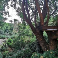 View from the terrace at The Lost Unicorn Restaurant in Tsagarada