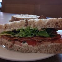 BLT at Cafe Kino in Bristol