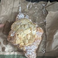   at Cafe Kino in Bristol