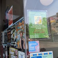  at Cafe Kino in Bristol