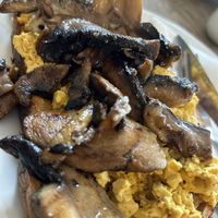 Scrambled tofu and mushrooms on sourdough  at Cafe Kino in Bristol