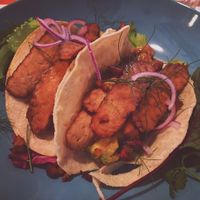 tortillas with tempeh at Dobre Bistro in Kosice