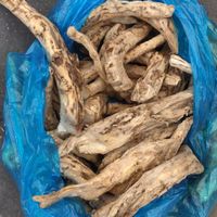 root? at Pryvoz Market in Odessa