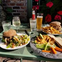 Burger, fries, salad and half eaten hummus at The Dancing Fox in Lodi
