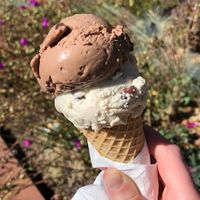 Orange Chocolate Chip and Mint Chip at Mr. Dewie's Cashew Creamery in Albany