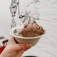Mint chocolate chip and chocolate orange  at Mr. Dewie's Cashew Creamery in Albany