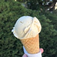 Roasted Cashew.  I can’t pick favorites, but this one is amazing.  So creamy and delicate and flavorful.    at Mr. Dewie's Cashew Creamery in Albany