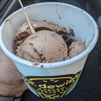 Chocolate with cookie crumbles... at Mr. Dewie's Cashew Creamery in Albany