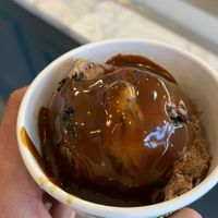   at Mr. Dewie's Cashew Creamery in Albany