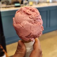  at Mr. Dewie's Cashew Creamery in Albany