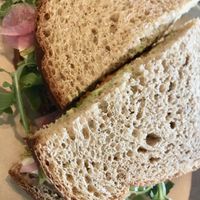 Hummus sandwich   at The Farm Bakery & Cafe in Aptos