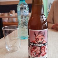  at Vyro Raw & Vegan Bistro in Bucharest