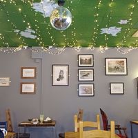 Love the levitating beach doggo pictures! at Super Natural Newcastle in Newcastle Upon Tyne