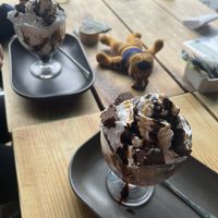   at Super Natural Newcastle in Newcastle Upon Tyne