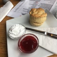 Vegan scone with jam and vegan whipped cream!  at Tea Total in Lyndhurst