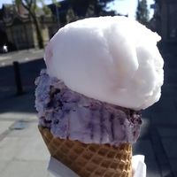 Blueberry ice cream and gin and elderflower sorbet at Ice Shack in Manchester