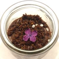   at La Vimea - Vegan Hotel & Vegan Restaurant in Naturno