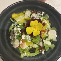   at La Vimea - Vegan Hotel & Vegan Restaurant in Naturno