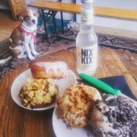 donuts and doggie. at Glazed - Maybe closed in Brighton