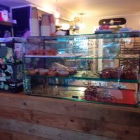 Great decor at Glazed doughnut shop at Glazed - Maybe closed in Brighton