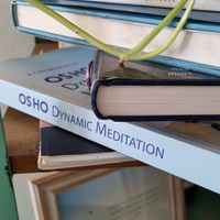  at Gioia Plant-Based Cuisine in Marbella