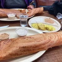Paper Mysore Masala Dosa at Sri Dosa Place in Iselin