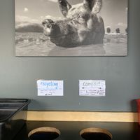 Recycling and compostable everything!  at Boon Burger Cafe in Burlington