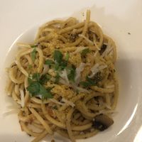 Bucatini  at Coppi's Organic Restaurant in Washington