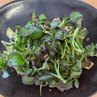 Ensalada de espárragos verdes  at The Green Spot in Barcelona