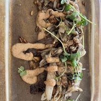 Mushrooms with aubergine  at The Green Spot in Barcelona