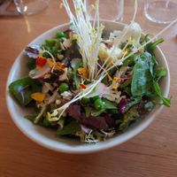 Salad with peas and avocado at The Green Spot in Barcelona