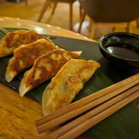 gyozas at The Green Spot in Barcelona