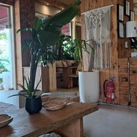  at Evergreen Organics in Doha