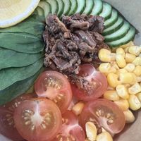   at Evergreen Organics in Doha