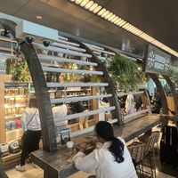   at Evergreen Organics in Doha