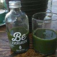 Smoothie at Evergreen Organics in Doha
