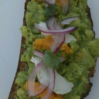 Avocado Love at Evergreen Organics in Doha