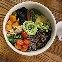   at Evergreen Organics in Doha