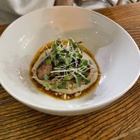   at Evergreen Organics in Doha