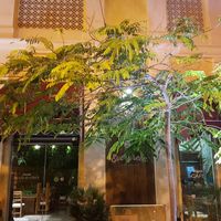Exterior at Evergreen Organics in Doha