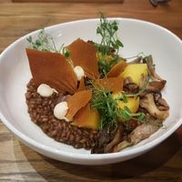 Pumpkin and mushroom risotto at Evergreen Organics in Doha