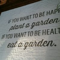 wall decoration at Evergreen Organics in Doha