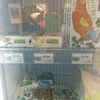 Sunkost at Sunkost in Vinterbro