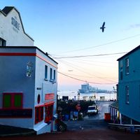 The Dog & Smuggler at sunrise  at The Dog and Smuggler Tuck Shop in Falmouth