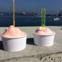 Great tasting ice creams!  at Ciuri Ciuri in Falmouth